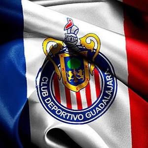 Meet your Posher, Jorge